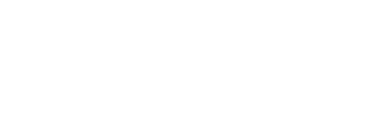 Chongqing University